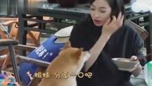 娱乐八卦吃瓜 百家号是真的吗吗,真相还是炒作？