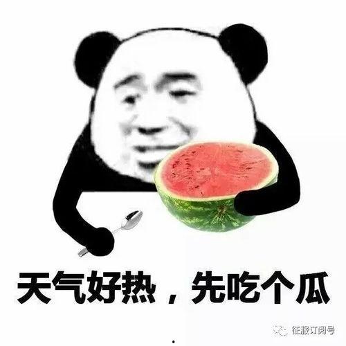 安排好行程娱乐吃瓜酱